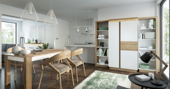 aranżacja pokoju dziennego z szafą