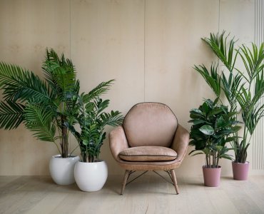 #UrbanJungle w mieszkaniu Jak dopasować rośliny do aranżacji wnętrz?