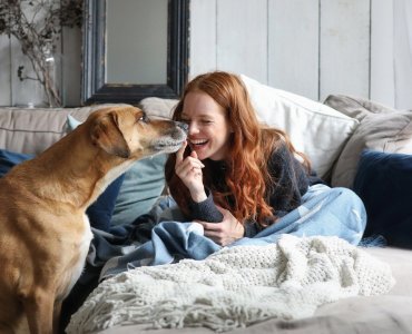 Aranżacja mieszkania, a zwierzęta domowe - o czym warto pamiętać?