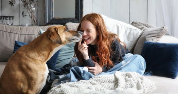 Aranżacja mieszkania, a zwierzęta domowe - o czym warto pamiętać?