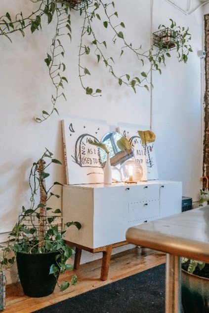 Rośliny w przedpokoju