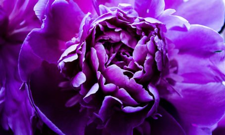 Zmiany w aranżacji mieszkania - powrót do natury Zmiany w aranżacji mieszkania - powrót do natury