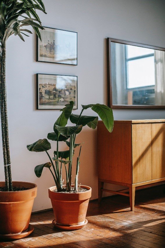 Jak zawiesić lustra w przedpokoju