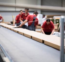 Gepard Biznesu dla Meble Wójcik