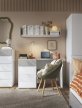 TYPE FLXB01 DESK 1D1S