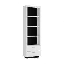 TYPE RAVR02 BOOKCASE 2S