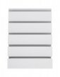 TYPE FRIK06 CABINET 5S