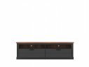 TYPE PEZF02 TV CABINET 2S