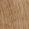 Ribbeck Eiche Gold